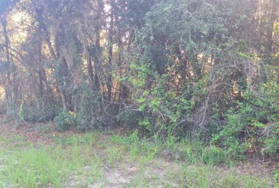 97 South Courtland Boulevard